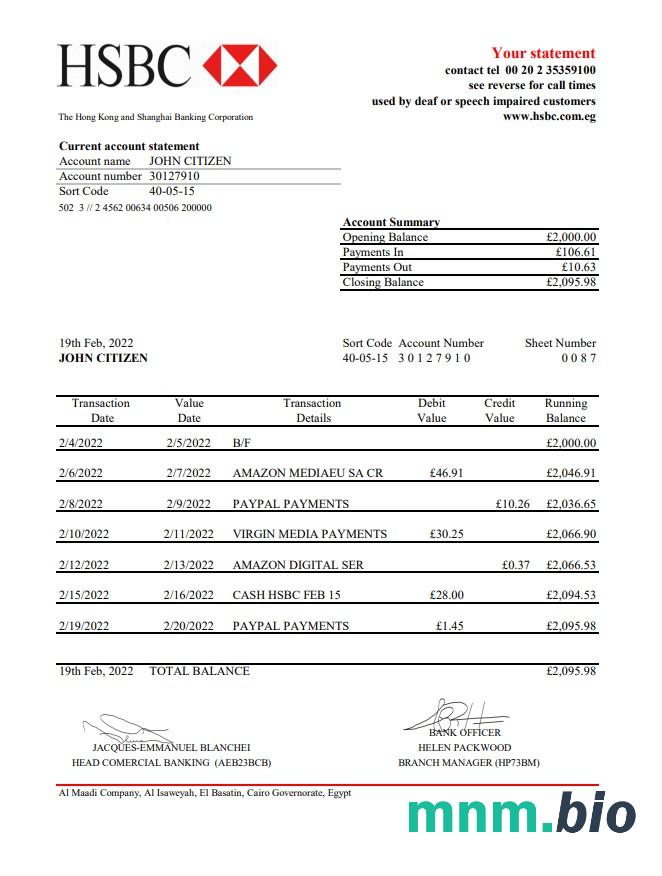 Wyciąg bankowy Egypt HSBC, szablon Word i PDF, Wersja 2